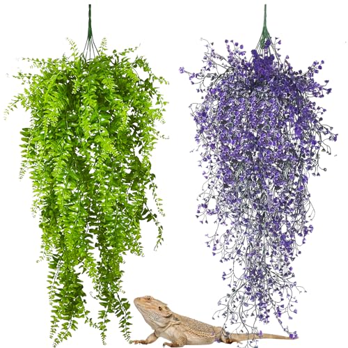 PINVNBY 2 Pack Reptile Plants Terrarium Hanging Fake Vines with Suction Cup Artificial Leaves for Bearded Dragons Lizards Geckos Snake Hermit Crab (Purple and Green) - color: 2 Pcs ( Green and Purple )