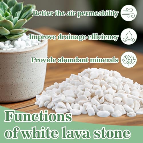 Sukh White Pebbles for Cactus - 420G Polished River Stones | 1/5 Inch Cactus Gravel Pebbles, Natural Decorative Small River Rocks for Gardening, Vases, Landscaping and Fish Tanks