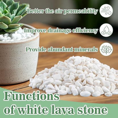 Sukh White Pebbles for Cactus - 420G Polished River Stones | 1/5 Inch Cactus Gravel Pebbles, Natural Decorative Small River Rocks for Gardening, Vases, Landscaping and Fish Tanks