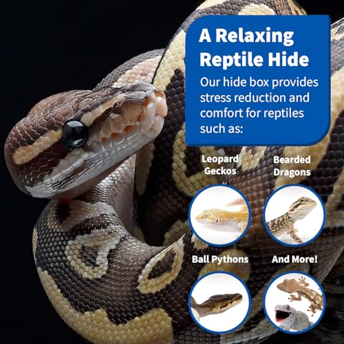 Pangea Reptile Hide Box (C- Medium), Black | Fits Most Standard Rack Units, Usable as Snake Tank Accessories, Good for Ball Python, Boas, Leopard Geckos, Kingsnake - size: C- Medium