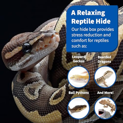 Pangea Reptile Hide Box (C- Medium), Black | Fits Most Standard Rack Units, Usable as Snake Tank Accessories, Good for Ball Python, Boas, Leopard Geckos, Kingsnake - size: C- Medium