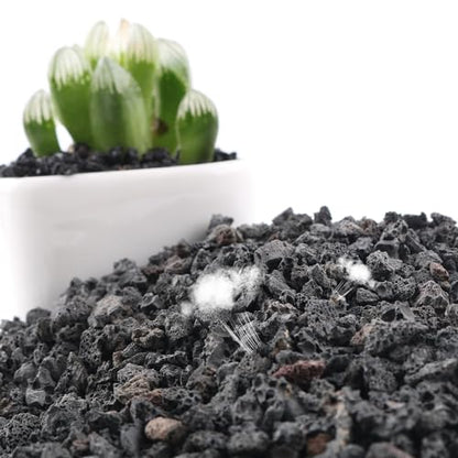 10LB Black Lava Rocks for Plant Gravel Pebbles for Bonsai Succulent Potting Soil, Top Dressing and Terrarium Plants