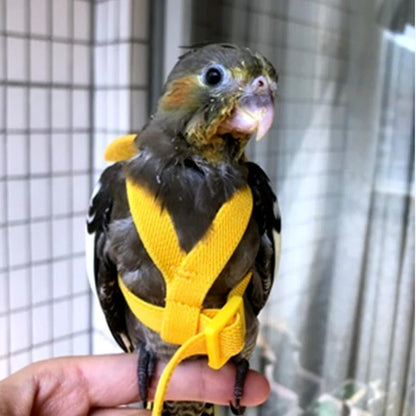 3pcs Parrot Flying Harness Leash Suit Pet Bird Outdoor Flight Training Rope Cockatiel Supplies Macaw Accessories Stuff for Budgie