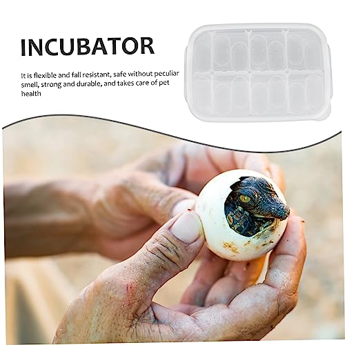 DOITOOL Practical Compartment Reptile Egg Incubator Box for Lizard and Gecko Hatching Transparent Design Lightweight and Durable for Pet Breeding and Scientific Research - color: White