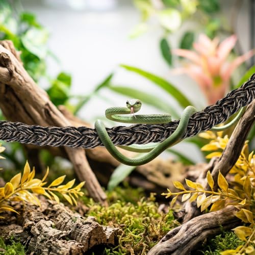 3-Pack Snake Climbing Rope & Reptile Vines 27.5" Braided Hemp Toys for Terrarium Enrichment Ball Python Crested Gecko & Hermit Crab Tank Accessories with Suction & Adhesive Hooks - color: Multi-color