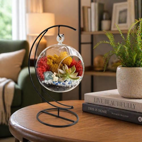 Creations by Nathalie - 5" Glass Globe Succulent Terrarium Kit, Hanging DIY Starter Kit for Kids and Adult, Metal Stand, Reindeer Moss, Crystal & Rocks, Tools, Figurine (Live Plant Included) - color: Globe Glass