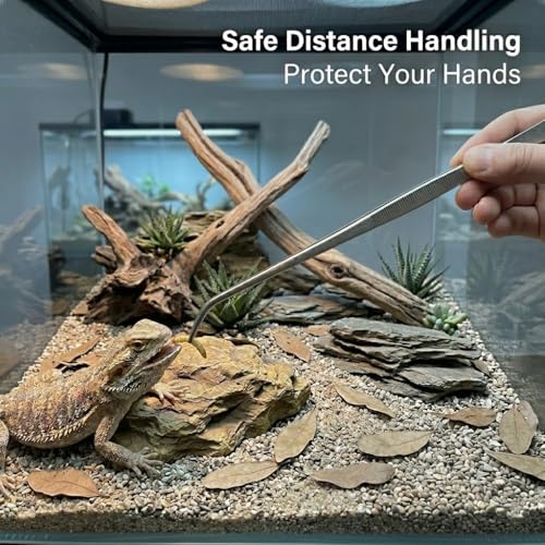 Aquarium Tweezers, 10 Inch, Stainless Steel, Straight & Curved, 2 PCS, Long Reptile Feeding Tongs for Bearded Dragon, Lizard, Snake, Fish Tank