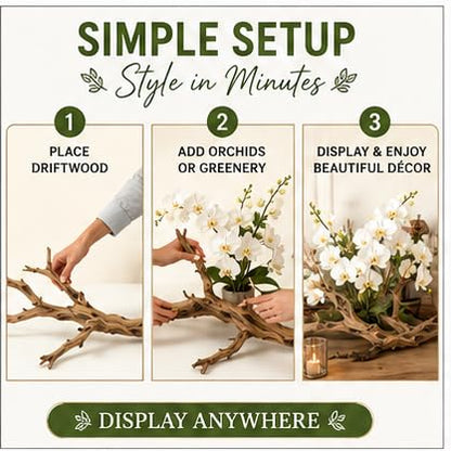 Koyal Wholesale California Driftwood with Natural Brown Branches, 36-Inch Large Driftwood Decor - size: 36 Inches