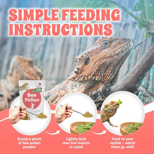 Bee Pollen Powder for Reptiles – Natural Appetite Booster & Vitamin Supplement – Dusting Powder for Feeder Insects & Salads – All-Natural Reptile Food Topper – 2.5 oz