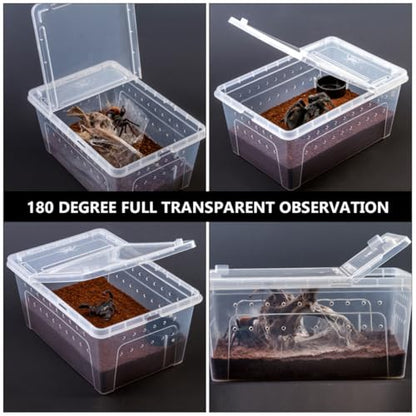 HOMSFOU Acrylic Reptile Feeding Box for Small Pets with High Surface Hardness and Safe Design, Climbing Pet Container Suitable for Living Foods and Transporting Animals Random Color