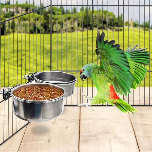 PINVNBY 2pcs Stainless Steel Bird Bowl Feeding Dish Cups for Parrot, Parakeet, African Greys, Conure, Cockatiels, Lovebird, Budgie, Chinchilla (L)