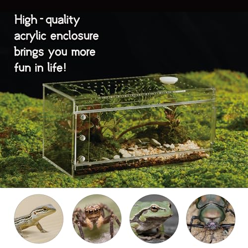Acrylic Terrarium for Reptiles & Spiders – Small/Medium/Large Leak-Proof Enclosure (Horizontal/Vertical) | Ideal for Tarantulas, Jumping Spiders, Frogs & Geckos(Small, Horizontal) - size: Small