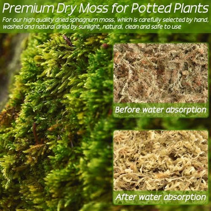 2.2 lb Premium Sphagnum Moss Bulk, Natural Long Fiber Orchid Sphagnum Peat Moss for Carnivorous Plants Succulent Monstera Indoor Outdoor Plants & Reptiles Terrariums Habitats(Expands to 40 qt) - size: 2.2 pounds