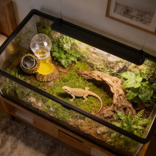Reptile Water Dish Reptile Drinking Feeding Dish | Snake Food and Water Bowl for Turtle Tortoise Bearded Dragon Snake Lizard Chameleon Leopard Gecko Terrarium Enclosure
