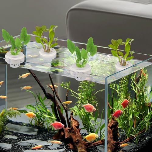 Plus tard 3 Set Floating Aquarium Plant Holders with Suction Cups, Fish Tank Plant Holders, Translucent Baskets for Hydroponic Plant Cultivation and Aquascape Decoration
