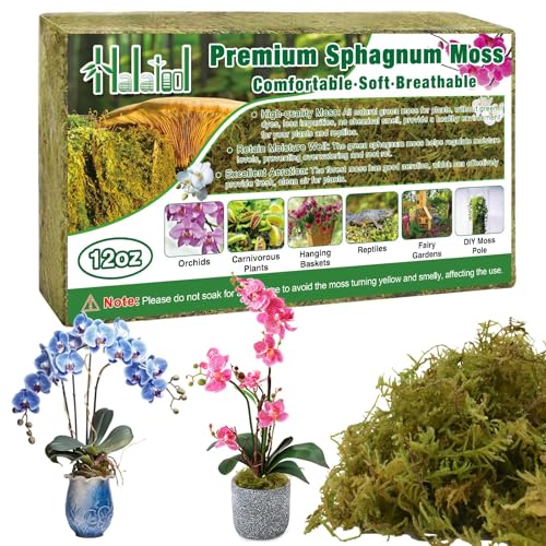 Halatool 12 OZ Natural Green Forest Moss, 18 QT Long Fiber Sphagnum Moss | No Dyes, Water Retention & Areation, Dried Orchid Moss for Potted Plants Indoor & Outdoor, Orchids Repotting, Terrariums - size: 12 oz
