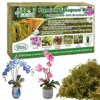 Halatool 12 OZ Natural Green Forest Moss, 18 QT Long Fiber Sphagnum Moss | No Dyes, Water Retention & Areation, Dried Orchid Moss for Potted Plants Indoor & Outdoor, Orchids Repotting, Terrariums - size: 12 oz