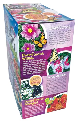 Toys by Nature Biosphere Terrarium Starter Kit, Complete Supplies Included to Grow Your Own Enchanting Garden and Indoor Plants! (Bountiful Butterfly Garden) - style: Bountiful Butterfly Garden