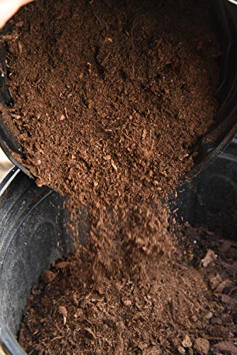 Perfect Plants Organic Sphagnum Peat Moss, 4 qt, Soil Additive | 100% pure with no fillers, holds water and nutrients like a sponge, loosens potting media so roots grow freely - size: 4qts.