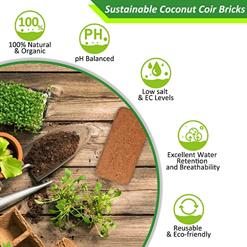 Riare 6pcs Organic Coco Coir Bricks, Natural Coconut Coir for Plants | High Expansion & Moisture Retention Coconut Husk Fiber for Seed Starting, Potting Mix, Composting, Soil Amendment & Reptiles - color: Pack of 6
