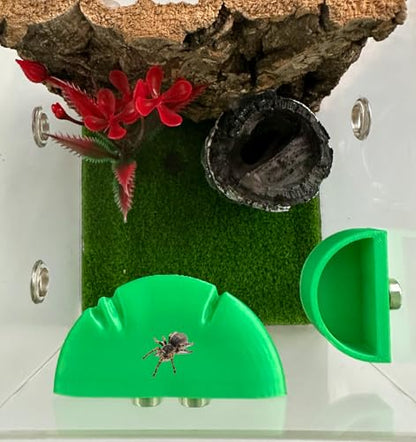 2 Pack Jumping Spider Accessories Mushroom Ledges & 1 Pack Water Bowl with Magnets for Spoods Jumping Spiders Magnetic Ledge Ladder Pet Spider Accessories - color: green