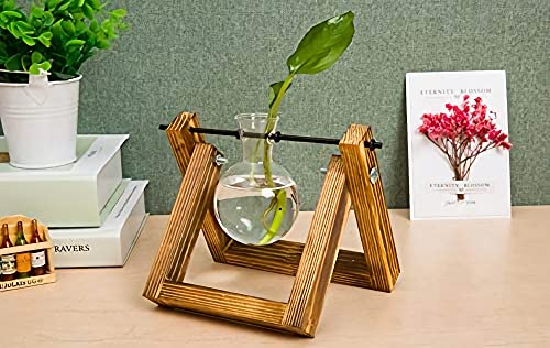 Kingbuy Plant Propagation Station Bulb Vase, 1 Bulb Vase | Air Plant Terrarium, Wooden Swivel Holder, Desktop Glass Planter, For Indoor Water Plants - size: 1 Bulb Vase