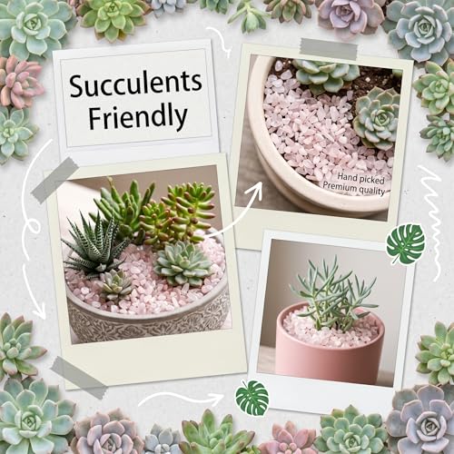 Rose Quartz & Clear Quartz Crystal Chips 1lb (1200+ Pcs)-5-8mm Love & Clarity Mix, Healing Stones for Plants, Aquarium, Crafts, DIY & Gifts - color: Rose Quartz & Clear Quartz, size: 1LB
