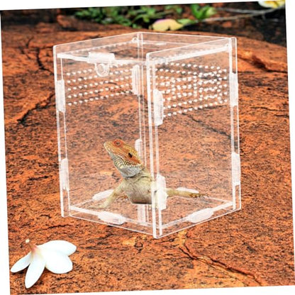 BESPORTBLE Reptile Incubators Terrarium Container Lizard Box Ventilation for Snake Scorpion Habitat