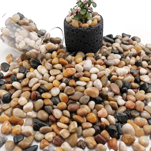 NUPICK 3lb River Rocks for Plants Indoor, Mixed Pebbles for Vase Fillers | 3/8 Inch Decorative Pea Gravel for Fish Tank, Natural Polished Stones for Succulent, Bonsai, Landscaping, Bird Baths - color: Mix, size: 3Lb
