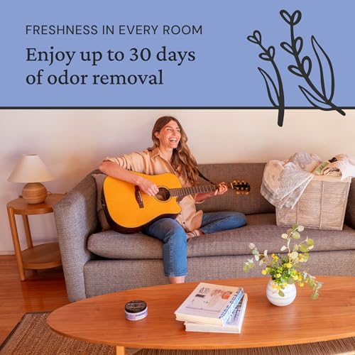 Fresh Wave Lavender Odor Eliminator Gel 3-Pk 7 oz - Air Freshener for Home | Plant-based essential oils. Lasts 15-30 days per jar. No plug-in needed. Pet-safe, closet and bathroom deoderizer. - size: 7 Fl Oz (Pack of 3)