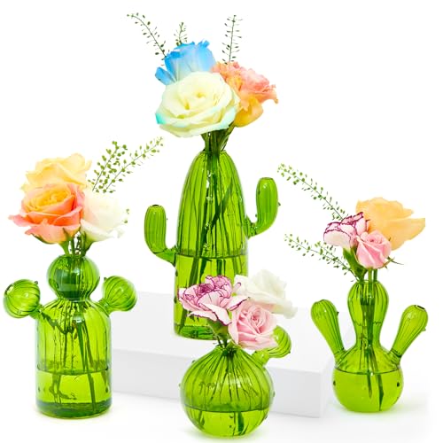 XXXFLOWER Cactus Plant Propagation Station 4 Cactus Vase Terrarium Jars | Desk Plant Cuttings Plant Holders Unique Glass Flower Vase for Hydroponics Plants for Plant Lovers Home Garden Decor - size: 4PCS Cactus Vase