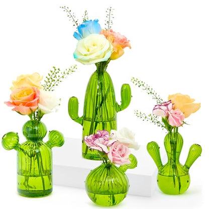 XXXFLOWER Cactus Plant Propagation Station 4 Cactus Vase Terrarium Jars | Desk Plant Cuttings Plant Holders Unique Glass Flower Vase for Hydroponics Plants for Plant Lovers Home Garden Decor - size: 4PCS Cactus Vase