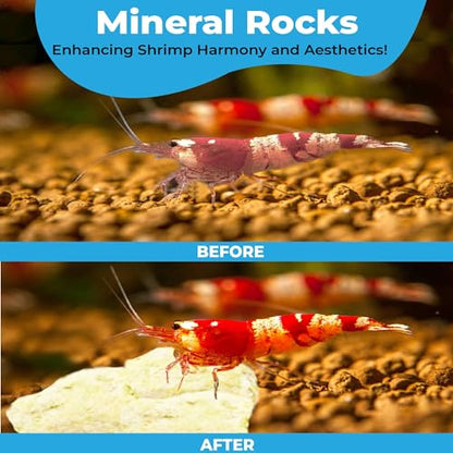 JOR 2 oz Hermit Crab Rocks, Natural Calcium Stones for Shrimp Tank Kit, Crab Decor Accessory, Rock Source for Crabs, Snails & Shrimp, Suitable for Marine Tanks, Freshwater Use & Terrarium Habitats