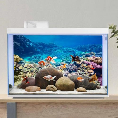Aquarium Background Coral Tropical Undersea Fish Tank Backdrop 24x16 inches | AWERT Vivid Coral Reef Tropical Fish Print, Durable Polyester - size: 24 x 16 in