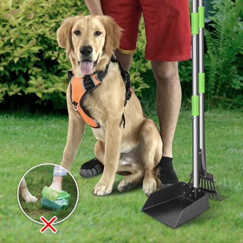 Pooper Scooper, Dog Pooper Scooper Long Handle Stainless Metal Tray and Rake for Medium Small Dogs Heavy Duty Pet Supplies to Use for Grass, Dirt or Gravel - size: 1. Rake + Tray