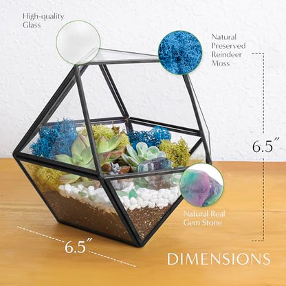 Creations by Nathalie DIY 7" Chalice Glass Terrarium Kit with Moss & Tools | DIY geometric glass terrarium kit with moss, tools, and supplies for creating an indoor terrarium display with your plants. - color: 7” Geometric Dodecahedron