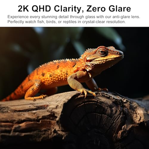 Aquarium Camera, 2K HD Fish Tank Camera with Night Vision, Window Cameras with Motion Alerts, 24/7 Event Recording, for Reptile Terrarium & Pet Monitoring SQ