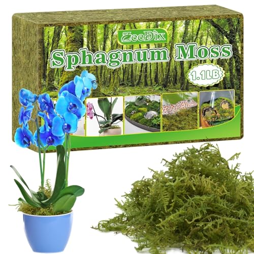 Sphagnum Moss 1.1 LB Long Fiber Green Forest Moss | Ideal for Repotting Orchids, succulents, and Indoor Plants Natural Sphagnum Retains Moisture, Improves Root Aeration - size: 1.1 LB