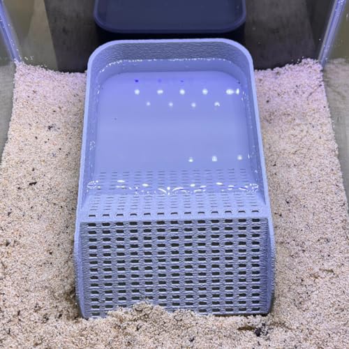 Hermit Crab Watering Pool | Platform Pool Accessory with Access Ramp for Hermit Crabs | 6.5" x 4" | Made in USA (Fresh Only, Gray) - color: Fresh Only, Gray