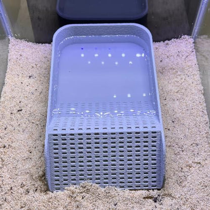 Hermit Crab Watering Pool | Platform Pool Accessory with Access Ramp for Hermit Crabs | 6.5" x 4" | Made in USA (Fresh Only, Gray) - color: Fresh Only, Gray