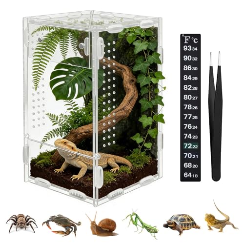 Jumping Spider Enclosure, 4x4x8 Inch Acrylic Reptile Terrarium Enclosure, with Magnet Front Opening Door, for Snail, Spiders, Mantis, Lizard, and Small Reptiles(Tweezer & Temp Sticker Included)