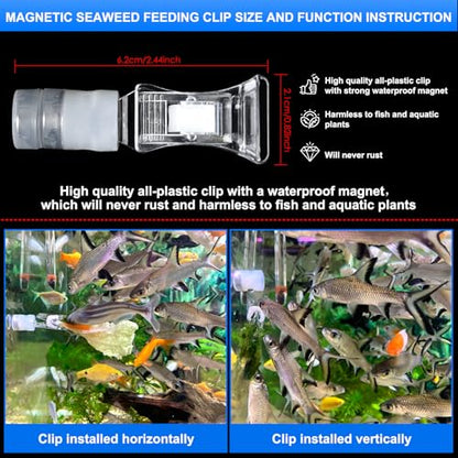 Magnetic Aquarium Veggie Clip Plant Feeding nori Seaweed Clip for Saltwater Fish Aquarium Magnet Lettuce Food clamp Fish Accessories—Patented Product (2pcs Magnetic Veggie Clip) - size: 2pcs magnetic veggie clip