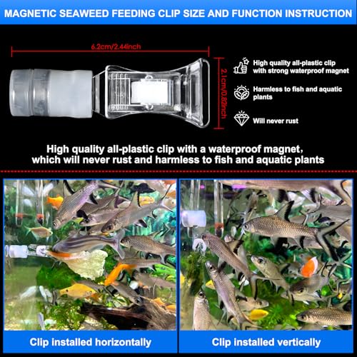 Magnetic Seaweed Fish Feeding Clip Saltwater Aquariums Magnet Veggie Feeder clamp Fish Accessories —Patented Product(4pcs Magnetic Veggie Clip) - size: 4pcs magnetic veggie clip