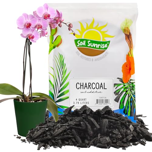 Soil Sunrise Horticultural Charcoal for Indoor Plants (4 Quarts) Hardwood Soil Additive for Orchids, Terrariums, and Gardening - size: 4 Quarts