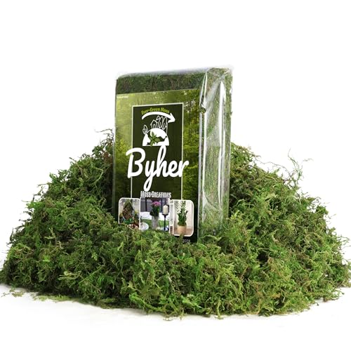 7OZ Moss for Plants Indoor, Natural Looking Faux Grass for Crafts, Terrariums, Fairy Gardens, Floral Arrangements - Artificial Spanish Moss Alternative for Home Decor (200g) (Fresh Green)