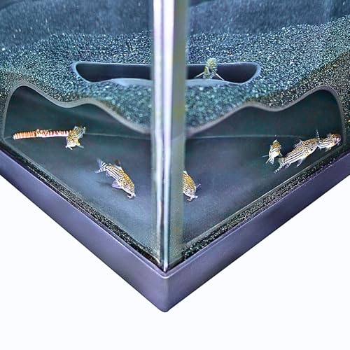 Aquarium Underground Corner Cave Natural Curve | Viewing Fish & Shrimp Under Gravel Tunnel | Fish Tank Decor Decoration Hideout Perfect for Corydora Catfish, Kuhli Loach, Pleco - color: Black
