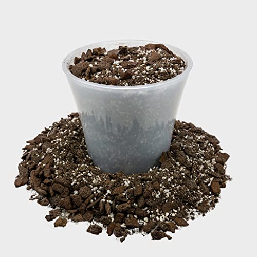 Professional Succulent Soil Premium All Purpose Blend | Pre-Mixed Ready to Use for Cactus and Succulents | Sphagnum Peat Moss, Perlite, New Zealand Pine Bark - Made in USA - 4 Quart - size: 4 Quart Bag, style: Professional Succulent Soil Blend