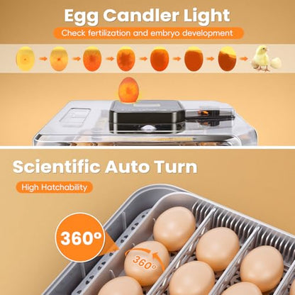 48 Incubators for Hatching Eggs, Egg Incubator with Automatic Egg Turning and Humidity Control, Temp Control, Egg Candler, Auto Water Refilling, Incubator for Chicken Eggs, Duck and Quail Eggs | Egg Candler, Egg Incubator for Chicken, Duck & Quail, Easy t
