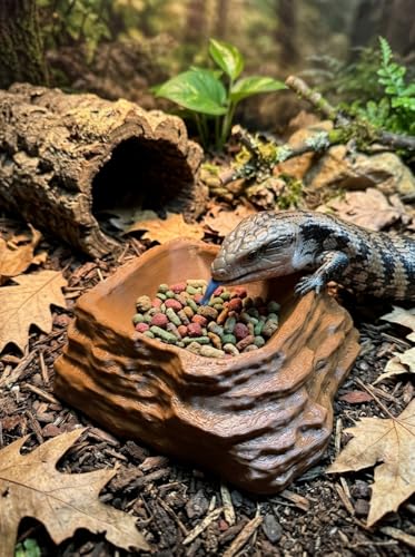 ReptiRock 3D Printed Reptile Worm Dish - Escape-Proof Worms and Mealworm Feeder Bowl - Eco-Friendly PLA Rock Texture Food Water Dish for Bearded Dragon, Gecko, Lizard, Brown