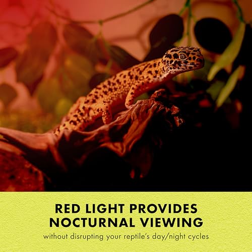Zilla Incandescent Spot Bulb, for Nocturnal Reptile Species, Night Red - size: Pack of 1, style: Night Red (75W)